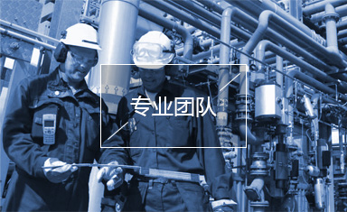 專業(yè)團(tuán)隊(duì)